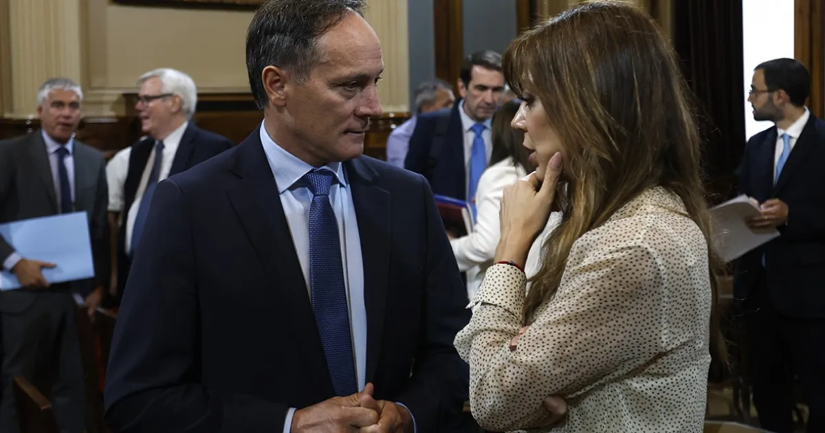 Gobernadores peronistas y Provincias Unidas buscan formar un interbloque en el Senado