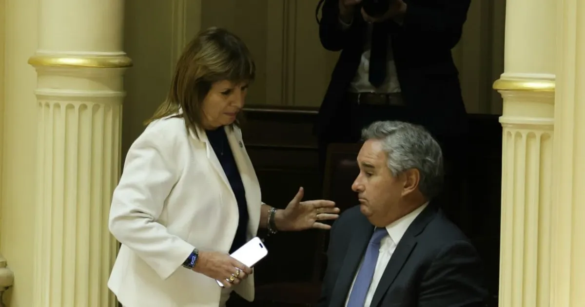 Bullrich suma al equipo de campaña de Papi a la Orden y busca nexo con Trump