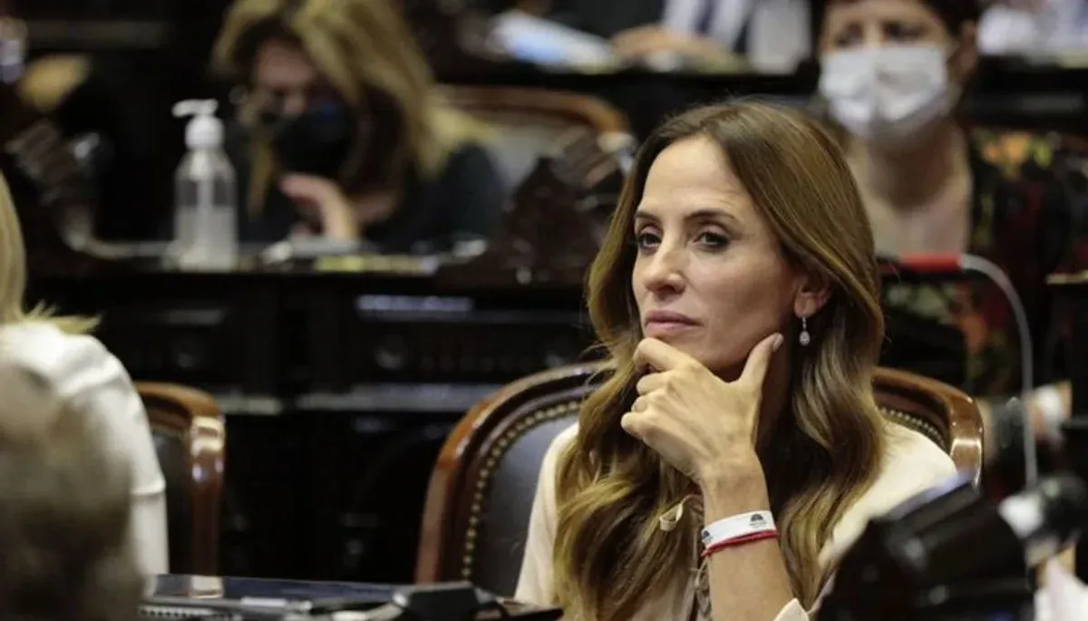 Tolosa Paz criticó el proyecto de Ley Penal Juvenil y pidió más seriedad