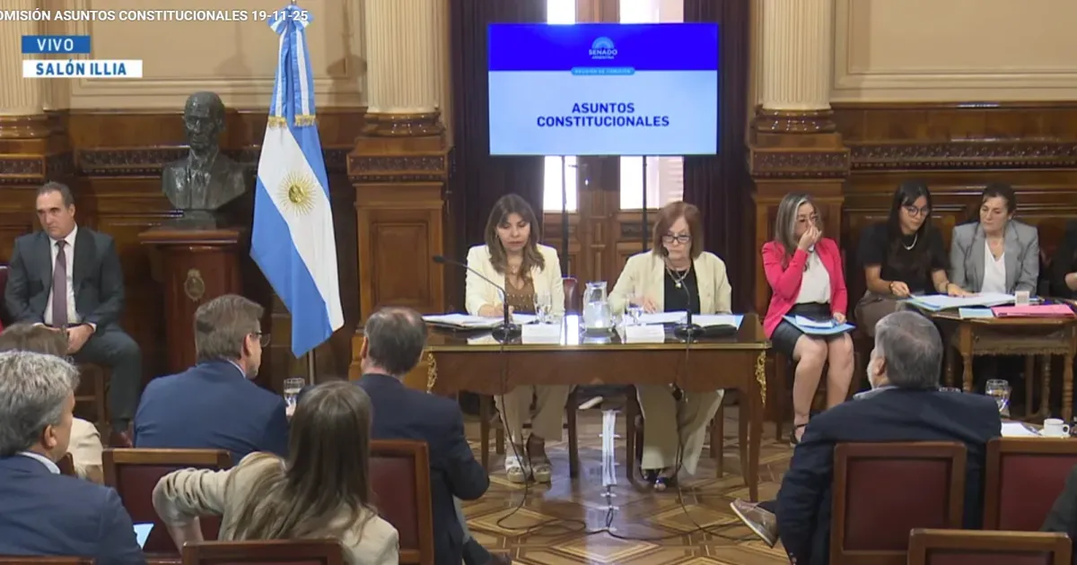 El Senado analiza las impugnaciones contra Lorena Villaverde