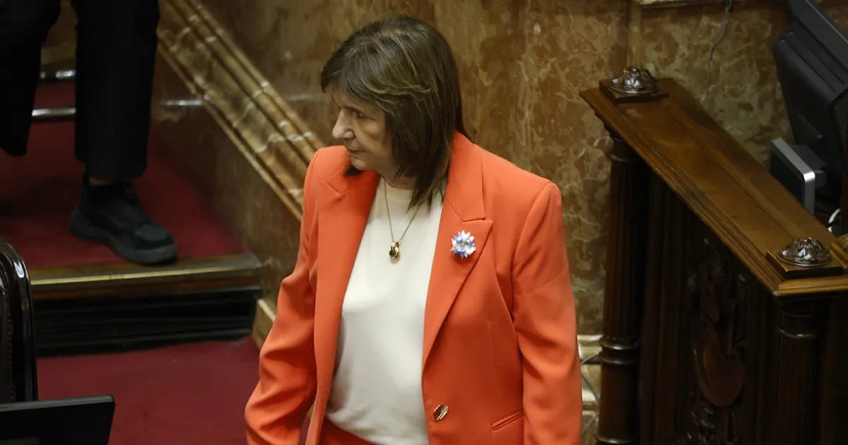 La relación entre Bullrich y Techint aumenta la desconfianza de Milei