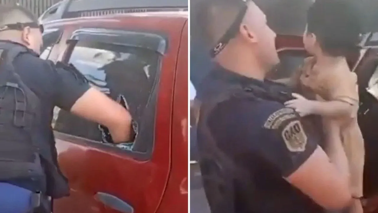 Un árbol se desplomó sobre colectivos en Belgrano: cuatro personas heridas