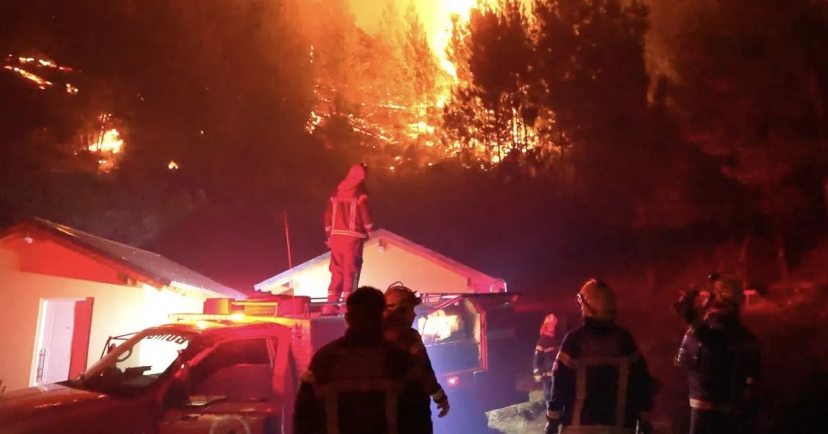 Milei recorta un 78% los fondos para combatir incendios en la Patagonia