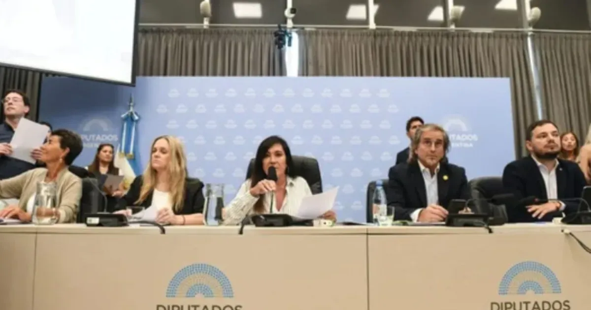 Dictamen de mayoría en Diputados para nuevo régimen penal juvenil