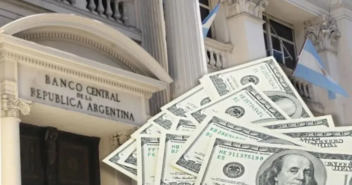 Ajuste en la liquidez: Tesoro y Banco Central redujeron la base monetaria en $780.000 millones