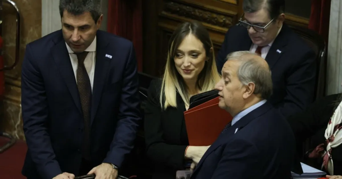 El peronismo se fractura en el Senado y aprueba la prórroga de Mahiques